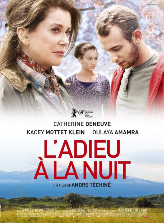 L'adieu á la nuit poster