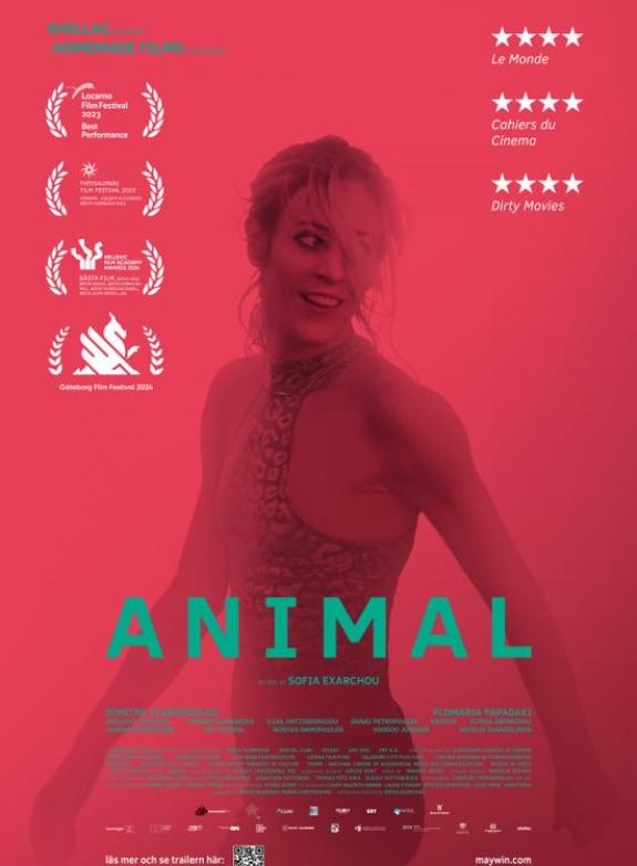 Animal poster