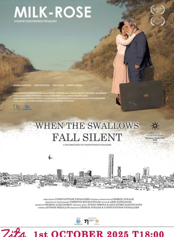 When the Swallows Fall Silent poster