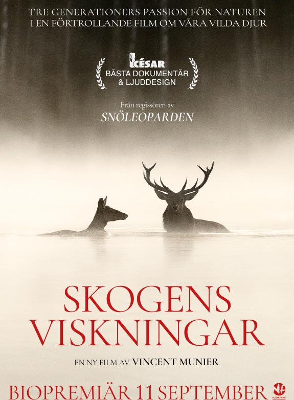 Skogens viskningar poster