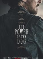 The power of the dog poster