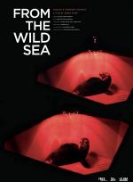 From the wild sea poster