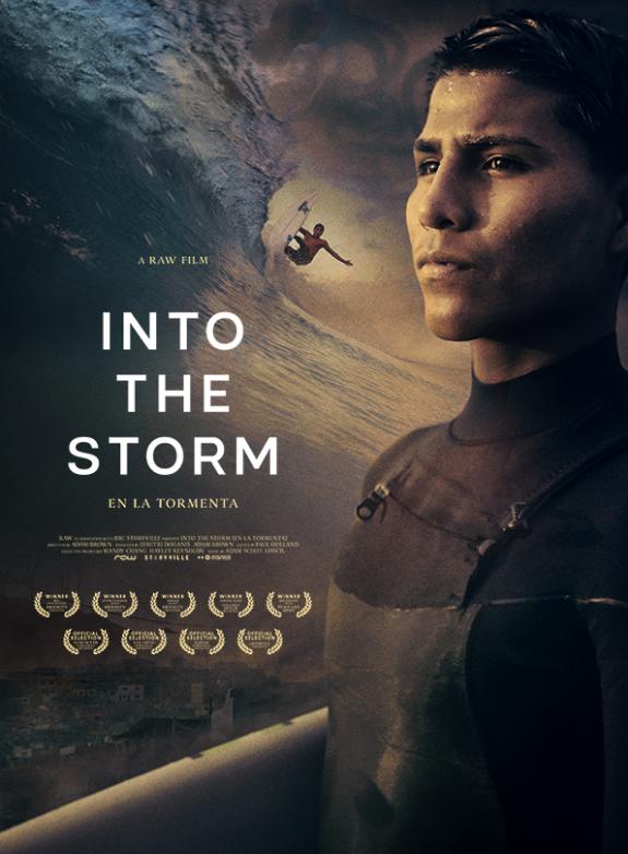 Into the storm poster