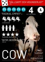 Cow  poster