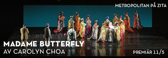 madame butterfly