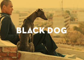 black dog