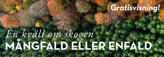 3/9 Kväll om skogen